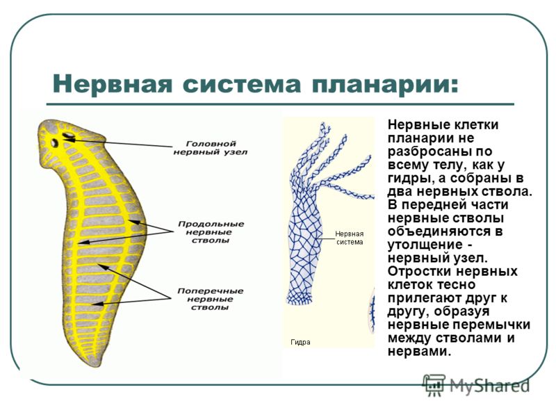 Регистрация на kraken