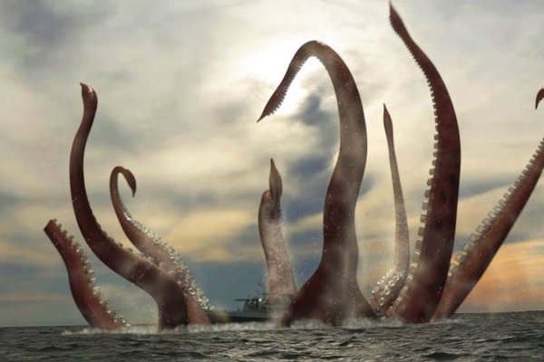 Kraken настоящая ссылка